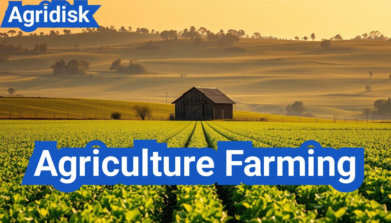 All About Agriculture Farming: A Comprehensive Guide